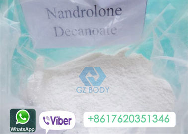 White Nandrolone Decanoate Steroid ,  Deca Steroids Injection Powder CAS 360-70-3